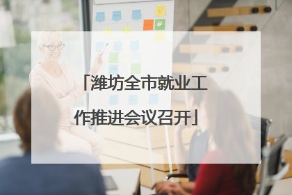 潍坊全市就业工作推进会议召开