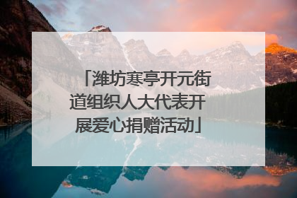 潍坊寒亭开元街道组织人大代表开展爱心捐赠活动