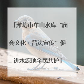 潍坊市牟山水库“庙会文化＋普法宣传”促进水源地全民共护
