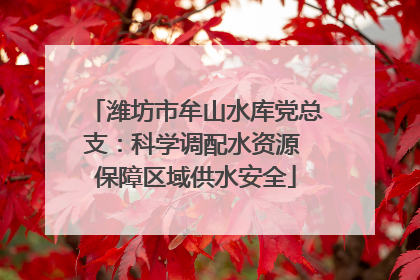 潍坊市牟山水库党总支：科学调配水资源 保障区域供水安全