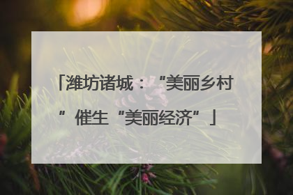 潍坊诸城：“美丽乡村”催生“美丽经济”