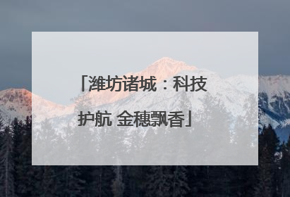 潍坊诸城：科技护航 金穗飘香
