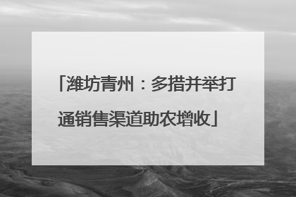 潍坊青州：多措并举打通销售渠道助农增收
