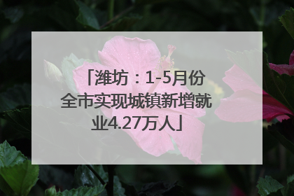 潍坊：1-5月份全市实现城镇新增就业4.27万人