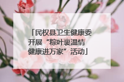 民权县卫生健康委开展“粽叶裹温情 健康进万家”活动