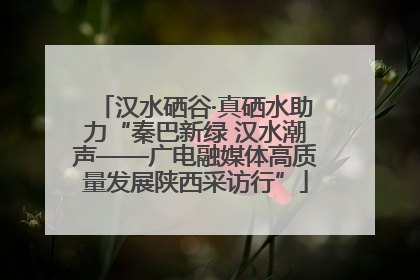 汉水硒谷·真硒水助力“秦巴新绿 汉水潮声——广电融媒体高质量发展陕西采访行”