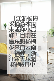 江浙杨梅采摘游本周末或迎小高峰！目前在售东魁杨梅多来自云南、福建，浙江露天东魁杨梅6月中旬大量上市