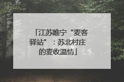 江苏睢宁“麦客驿站”：苏北村庄的麦收温情