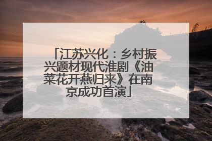 江苏兴化：乡村振兴题材现代淮剧《油菜花开燕归来》在南京成功首演