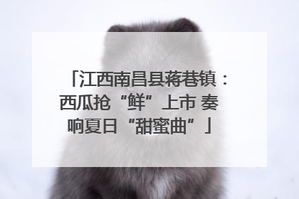 江西南昌县蒋巷镇：西瓜抢“鲜”上市 奏响夏日“甜蜜曲”