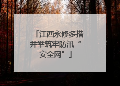 江西永修多措并举筑牢防汛“安全网”