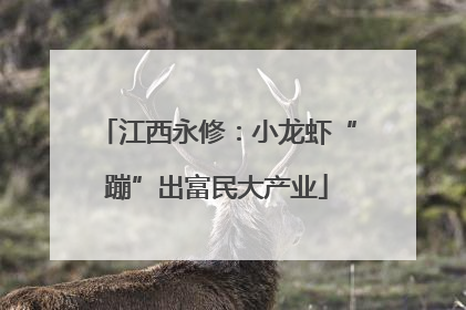 江西永修：小龙虾“蹦”出富民大产业
