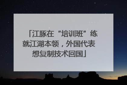 江豚在“培训班”练就江湖本领，外国代表想复制技术回国