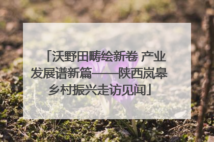 沃野田畴绘新卷 产业发展谱新篇——陕西岚皋乡村振兴走访见闻