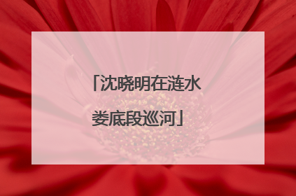 沈晓明在涟水娄底段巡河