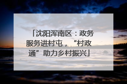 沈阳浑南区：政务服务进村屯，“村政通”助力乡村振兴