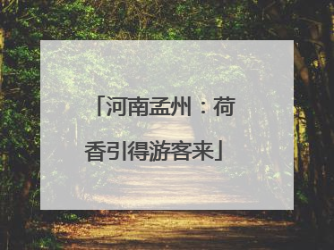 河南孟州：荷香引得游客来