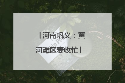 河南巩义：黄河滩区麦收忙
