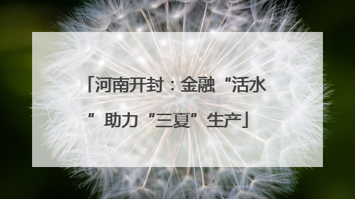 河南开封：金融“活水”助力“三夏”生产