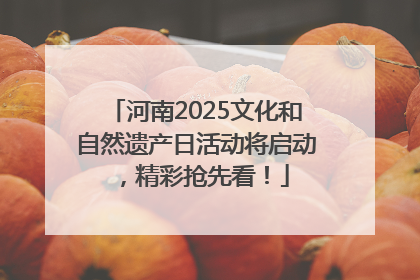 河南2025文化和自然遗产日活动将启动，精彩抢先看！