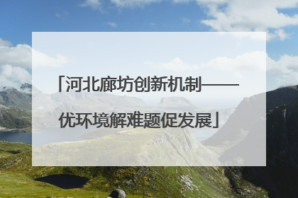 河北廊坊创新机制——优环境解难题促发展