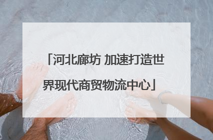 河北廊坊 加速打造世界现代商贸物流中心