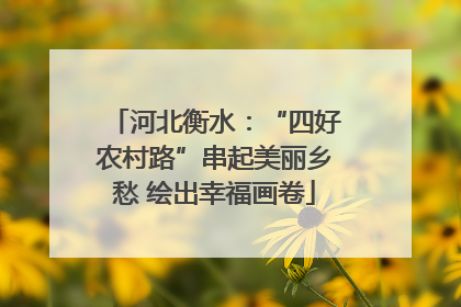河北衡水：“四好农村路”串起美丽乡愁 绘出幸福画卷