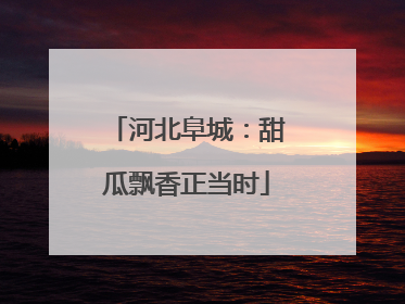 河北阜城：甜瓜飘香正当时