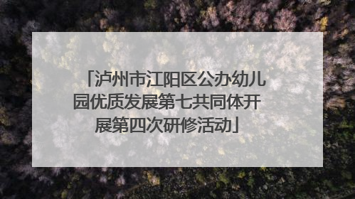泸州市江阳区公办幼儿园优质发展第七共同体开展第四次研修活动