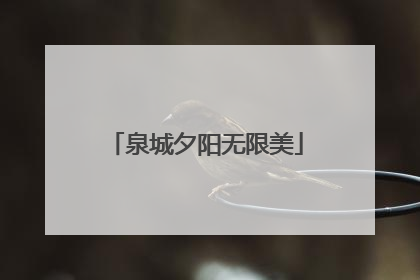泉城夕阳无限美