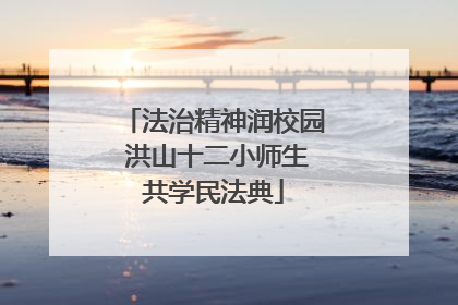 法治精神润校园 洪山十二小师生共学民法典