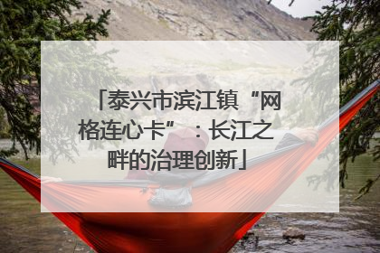泰兴市滨江镇“网格连心卡”：长江之畔的治理创新