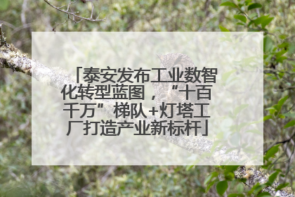 泰安发布工业数智化转型蓝图，“十百千万”梯队+灯塔工厂打造产业新标杆