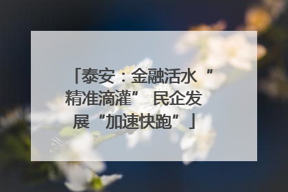 泰安：金融活水“精准滴灌” 民企发展“加速快跑”