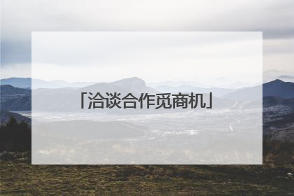洽谈合作觅商机