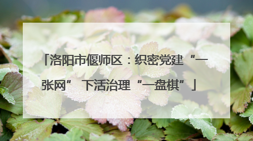 洛阳市偃师区：织密党建“一张网” 下活治理“一盘棋”