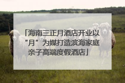 海南三正月酒店开业以“月”为媒打造滨海家庭亲子高端度假酒店