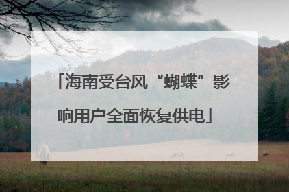 海南受台风“蝴蝶”影响用户全面恢复供电