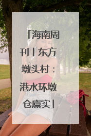 海南周刊丨东方墩头村：港水环墩仓廪实