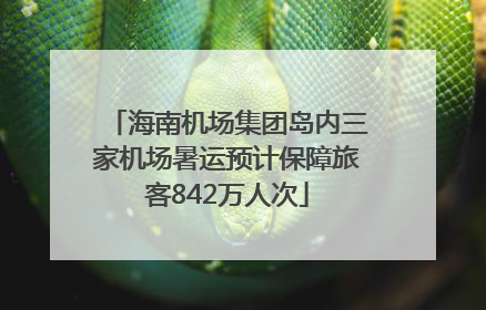 海南机场集团岛内三家机场暑运预计保障旅客842万人次