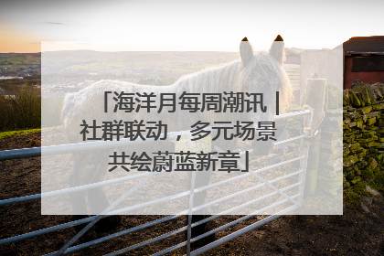 海洋月每周潮讯｜社群联动，多元场景共绘蔚蓝新章