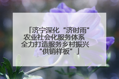 济宁深化“济时雨”农业社会化服务体系 全力打造服务乡村振兴“供销样板”