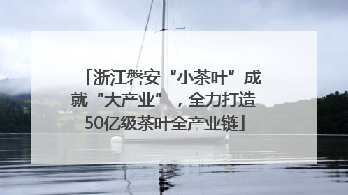 浙江磐安“小茶叶”成就“大产业”，全力打造50亿级茶叶全产业链