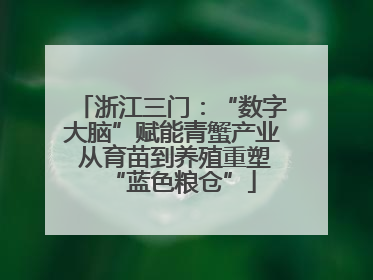 浙江三门：“数字大脑”赋能青蟹产业 从育苗到养殖重塑“蓝色粮仓”