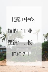 浙江中心镇的“工业重镇”，长啥样？