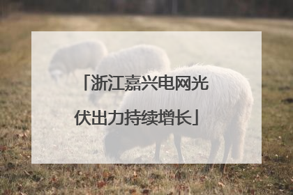 浙江嘉兴电网光伏出力持续增长