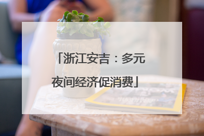 浙江安吉：多元夜间经济促消费