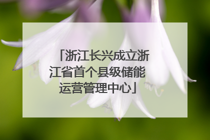 浙江长兴成立浙江省首个县级储能运营管理中心