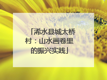 浠水县城太桥村：山水画卷里的振兴实践