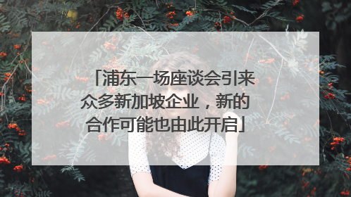 浦东一场座谈会引来众多新加坡企业，新的合作可能也由此开启